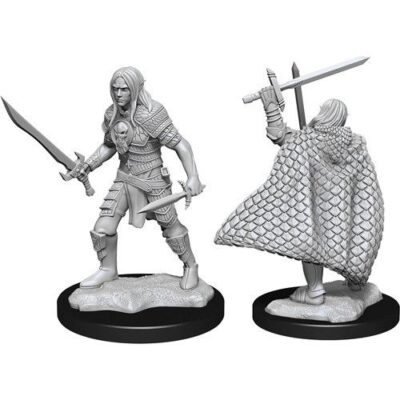 Pathfinder Deep Cuts - Male Elf Fighter