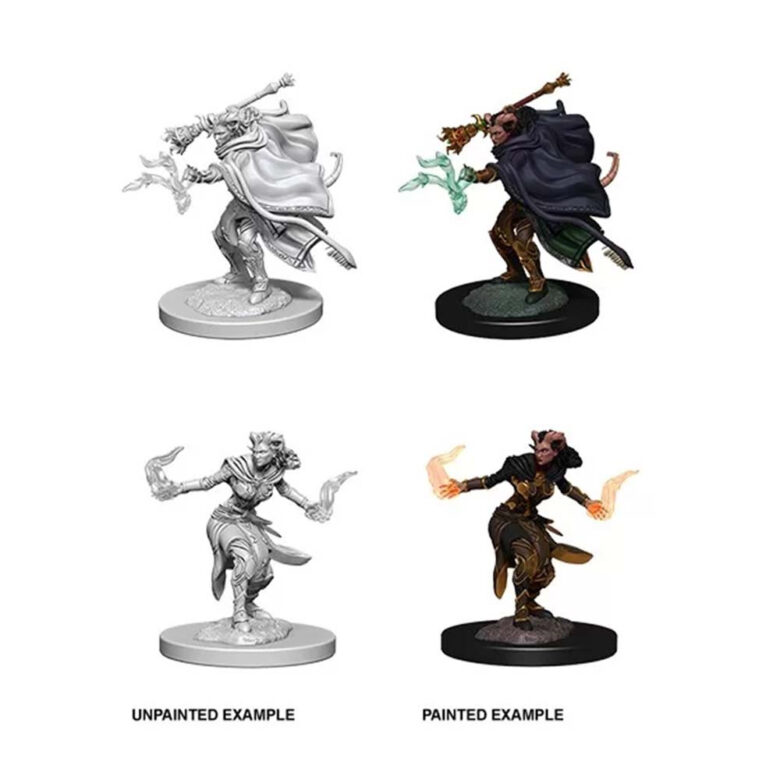 D&D Nolzur's Marvelous Miniatures - Tiefling Warlock